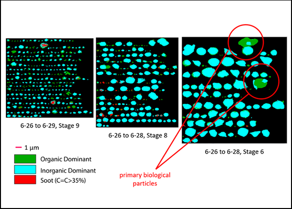 Spectro-Microscopic Investigations of the Aerosol Impact on Climate